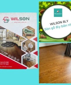 Wilson 8ly ban nho