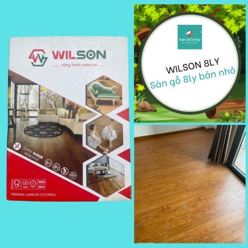 Wilson 8ly ban nho