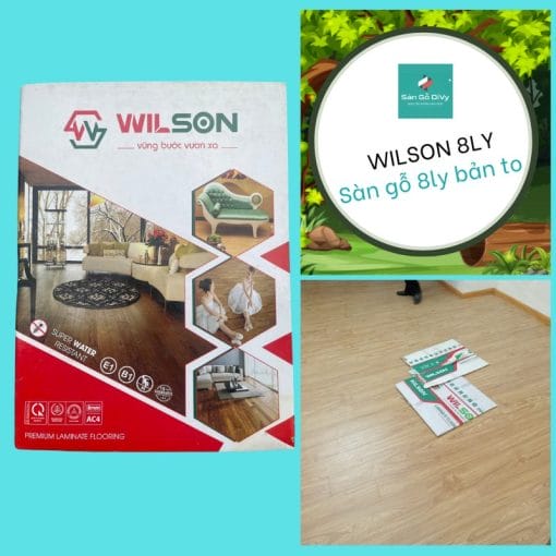 SÀN GỖ WILSON 8LY BẢN TO