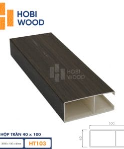 hop tran 40x100 hobiwood HT103