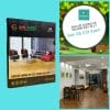 Sàn Gỗ Xương Cá Wilson cốt xanh dày 12 ly